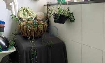 Imagem 7: Apartamento lindo jd brasilia