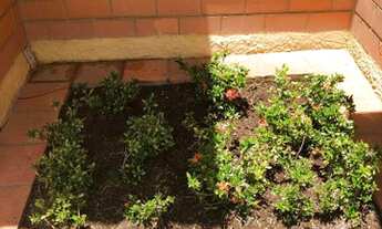 Imagem 5: CHACARA EM JUNDIAI MEDEIROS 1000 TERRENO 250 AC