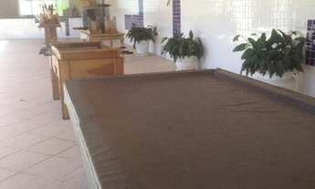 Imagem 7: Sítio com 3 dormitórios à venda, 60000 m² por R$ 2.300.000,00 - Santa Isabel - Santa Isabe