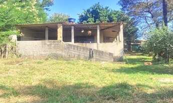 Imagem 7: Chácara 2500 mts com casa 03 quartos e lagoa nos fundos