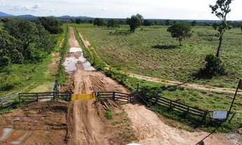 Imagem: Fazenda 80 alqueires dupla aptidão Palmeirópolis