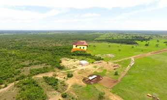 Imagem: Fazenda para Venda, Região produtora em