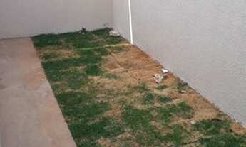 Imagem 6: Casa 03 quartos cidade Vera Cruz