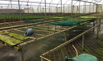 Imagem 3: Chácara para venda com 83000 metros quadrados com 3 quartos em do Apache - Cotia - SP