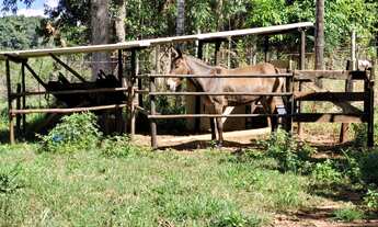 Imagem 7: Sítio para Venda em Uberlândia, Centro, 3 dormitórios, 1 suíte, 3 banheiros
