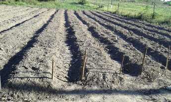 Imagem 6: Vendo fazenda em Dias Davila