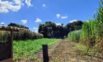 Imagem 6: Sítio para Venda em Uberlândia, Centro, 3 dormitórios, 1 suíte, 3 banheiros
