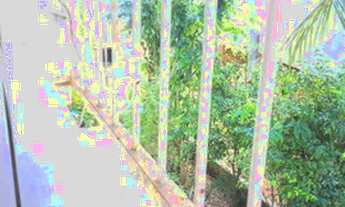 Imagem 2: Apartamento para venda com 50 metros quadrados com 2 quartos em Pernambués - Salvador - BA