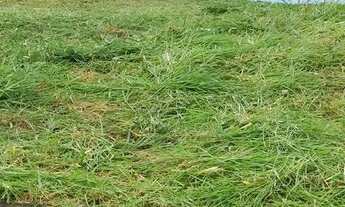 Imagem 5: Terreno para Venda em Sorocaba, Jardim Pagliato