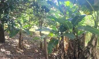 Imagem 5: Chácara 2500 mts com casa 03 quartos e lagoa nos fundos