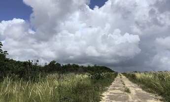 Imagem 6: Vendo terreno 1000m2 em Cabeceiras, Tibau do Sul. Aceito parcelamento