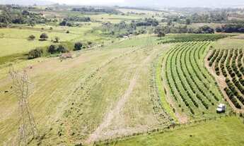 Imagem 4: Sitio em monte santo de minas 6,25 alqueires 1.100.000.00 ( arol