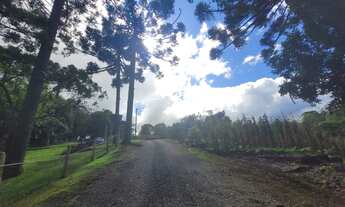 Imagem 6: Linda chácara com 30.000 m² coladinha do centro de Campo Alegre/SC