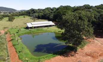 Imagem: Chácara alto padrão município trindade