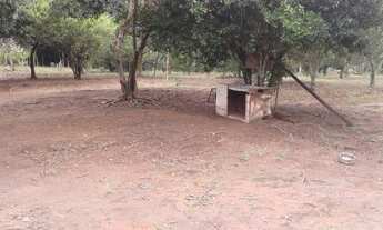 Imagem 6: Sítio 7 alqueires , eucaliptos ,pasto ,mata nativa em Atibaia SP