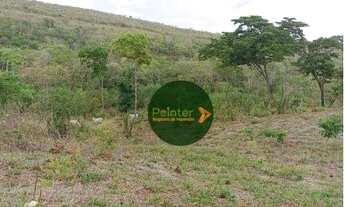 Imagem 5: Fazenda à venda, 1.011 hectares por R$ 18.000.000 - Zona Rural - Doverlândia/GO