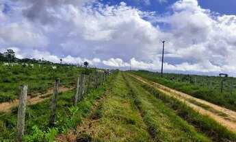 Imagem 4: Fazenda em Viseu de 30.070m2, com 16 açudes para gado, 5 casas - LT0036GL