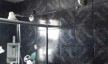 Imagem 6: Sobrado com Ponto de Comercio