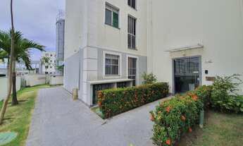 Imagem 6: Alugo Ótimo Apartamento em Piedade - 02 quartos - Com Área de Lazer - Imperdível