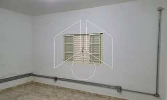 Imagem 2: Comercial Galpão/Barracão em Marília