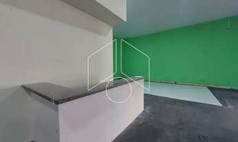 Imagem 2: Comercial Galpão/Barracão em Marília