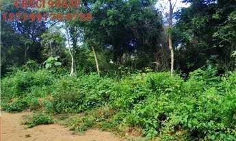 Imagem 6: SCL (W16) Parcele seu lote para Chácara em até 180X em Cariacica Sede