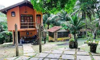 Imagem 6: Fazenda/Sítio/Chácara para venda tem 625000 metros quadrados em Centro - Presidente Figuei