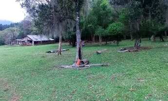 Imagem 6: Chácara pronta,7,7 hectares valor 300,000,00