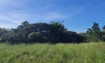 Imagem 6: Velleda oferece belo sítio meio hectare, com açude, na Águas Claras