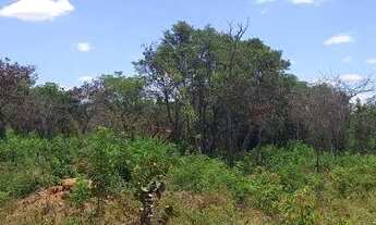 Imagem 5: Terreno em Nova Olinda Ceará