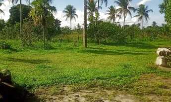 Imagem 2: Sítio para o São João de Cruz Das Almas