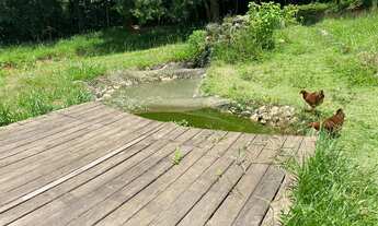 Imagem 4: Chácara de 8.000 m² em Mairinque