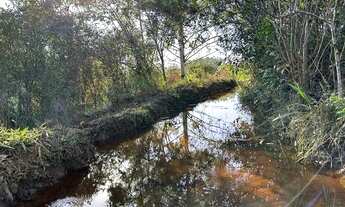 Imagem 2: Terreno 35.000m2 c/ água corrente, luz ao lado e ótima localização em Desterro de Entre Ri