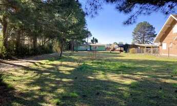 Imagem: Terreno no Centro de Canela!