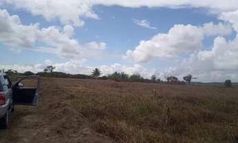 Imagem 2: Terreno ao lado a praia bela