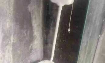 Imagem: Barracão simples no Camargos