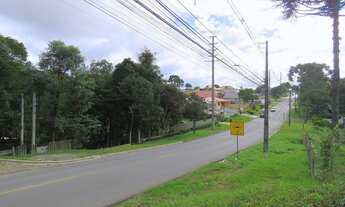 Imagem 4: SANTA FELICIDADE