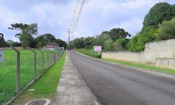 Imagem 6: SANTA FELICIDADE