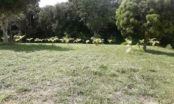 Imagem: Fazenda/Sítio/Chácara para venda com 500000