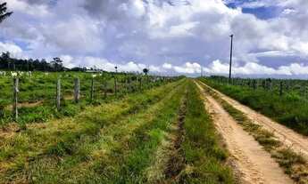 Imagem 7: Fazenda em Viseu de 30.070m2, com 16 açudes para gado, 5 casas - LT0036GL