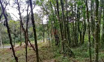 Imagem 4: Terreno no Loteamento Terras Altas em Gramado!