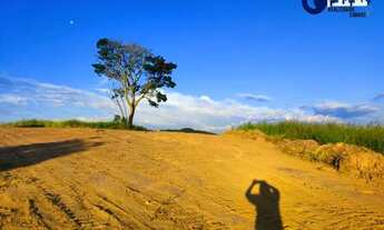 Imagem 7: 29an.LOTES COM QUALIDADE