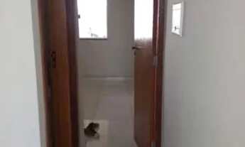 Imagem 5: TP23. Disponível para venda