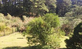 Imagem 2: Casa no Centro de Canela!