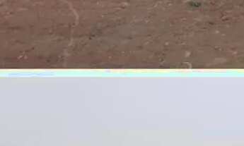 Imagem 3: Ótimos terrenos planos em Três Rios RJ