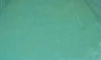 Imagem 2: Sítio 20.000 m² em Sabará