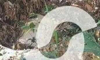 Imagem 2: Terreno à venda, 750 m² por R$ 350.000,00 - Serra Grande - Niterói/RJ