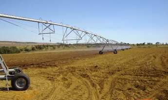 Imagem 3: Fazenda em lavoura 56 alqueires Anápolis-go