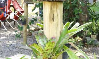 Imagem 5: Casa de alta classe