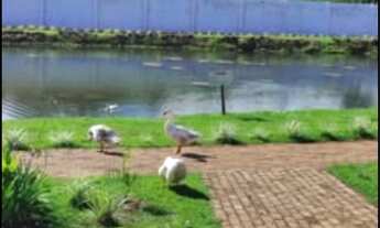 Imagem 2: Lote condomínio colina do lago